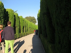 Garden Path to Palace