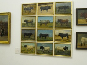 Paintings of bulls