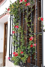 Nerja Home
