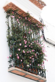 Nerja walk