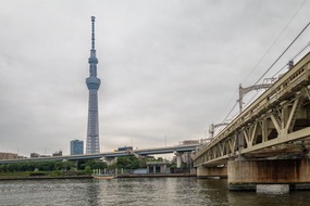 Skytree