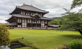 Todaji