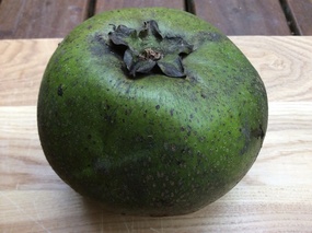 Black sapote aka chocolate pud