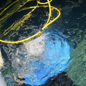 dive