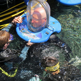 helmet dive