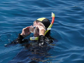 Snorkel, Snorkel until you prune