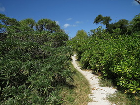 island trail