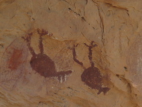 Split Rock: fruit bats