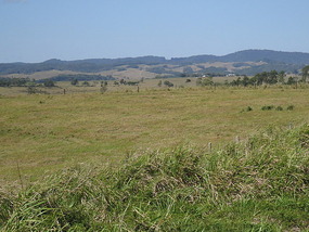Volcanic Landscape