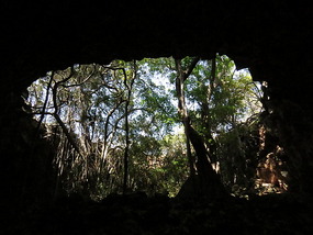 Lava tubes