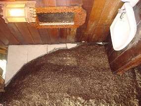 Lovely sink area