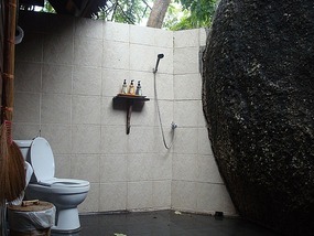 The alfesco bathroom