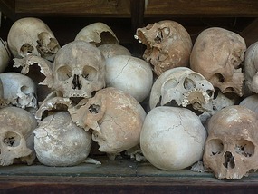 Close up of skulls