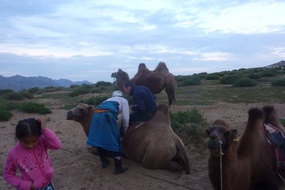Getting ready to camel ride