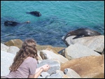 Sun-baking with seals
