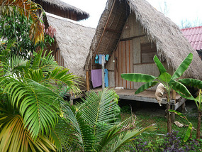 Our Bungalow, plus Cat