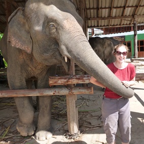 Elephant hug