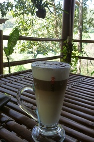 Best Latte ever!
