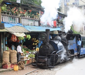 Darjeeling Toy Train!