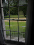 View from the Room