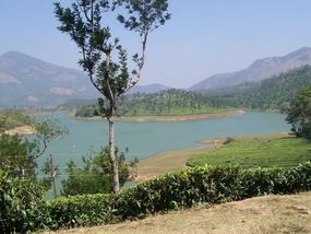 Munnar