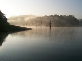 Periyar