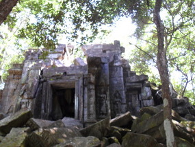 Beng melea