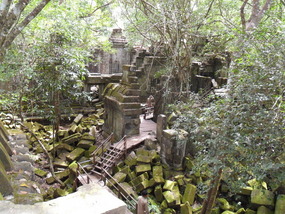 Beng melea