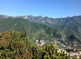 view