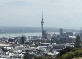 Mt Eden views