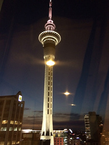 View from my Room