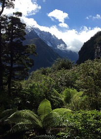 Journey to Milford Sounds