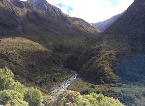Views from Alpine train