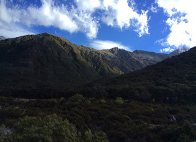 Views from Alpine train