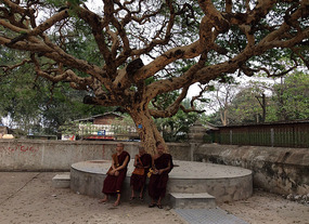 Monks seating under the tree