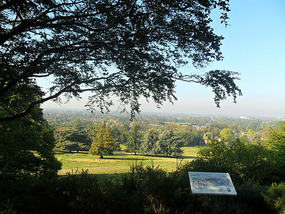 Richmond Park 