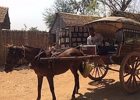 My Horse and Cart
