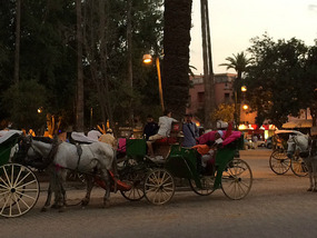 Marrakech