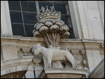 Wolf looking for Remus?