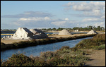 They had Piles of Salt
