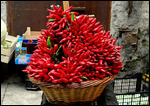 Chilli Xmas Tree