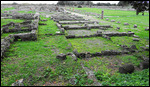 Paestum Agora