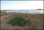 Isole delle Correnti