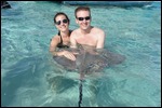Stingrays