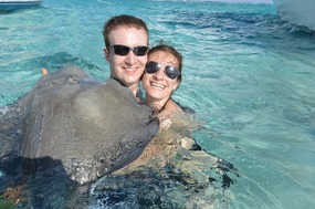 Stingrays