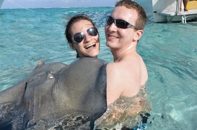 Stingrays