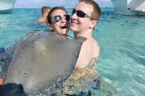 Stingrays