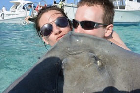 Stingrays