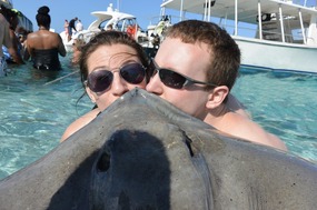 Stingrays