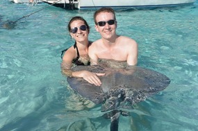 Stingrays